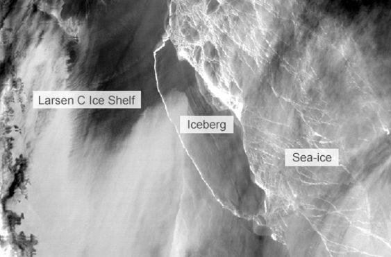 Громадный айсберг отделился от Антарктиды