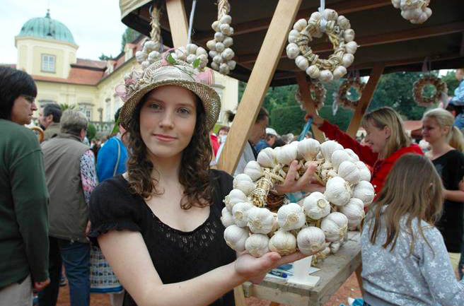 В Чехии пройдет фестиваль, посвященный чесноку