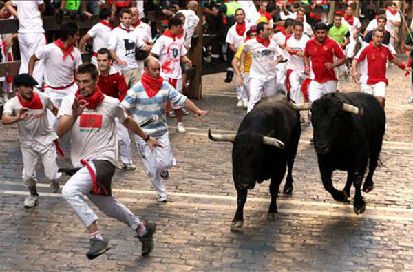 В Испании начался фестиваль Энсьерро или бег быков