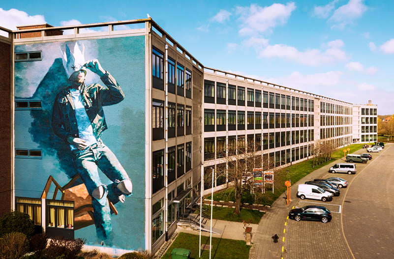 В Бельгии прошел фестиваль стрит-арта (1)