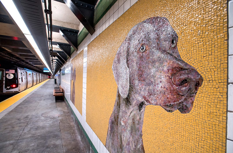 Метро в Нью-Йорке украсили мозаикой с собаками (2)