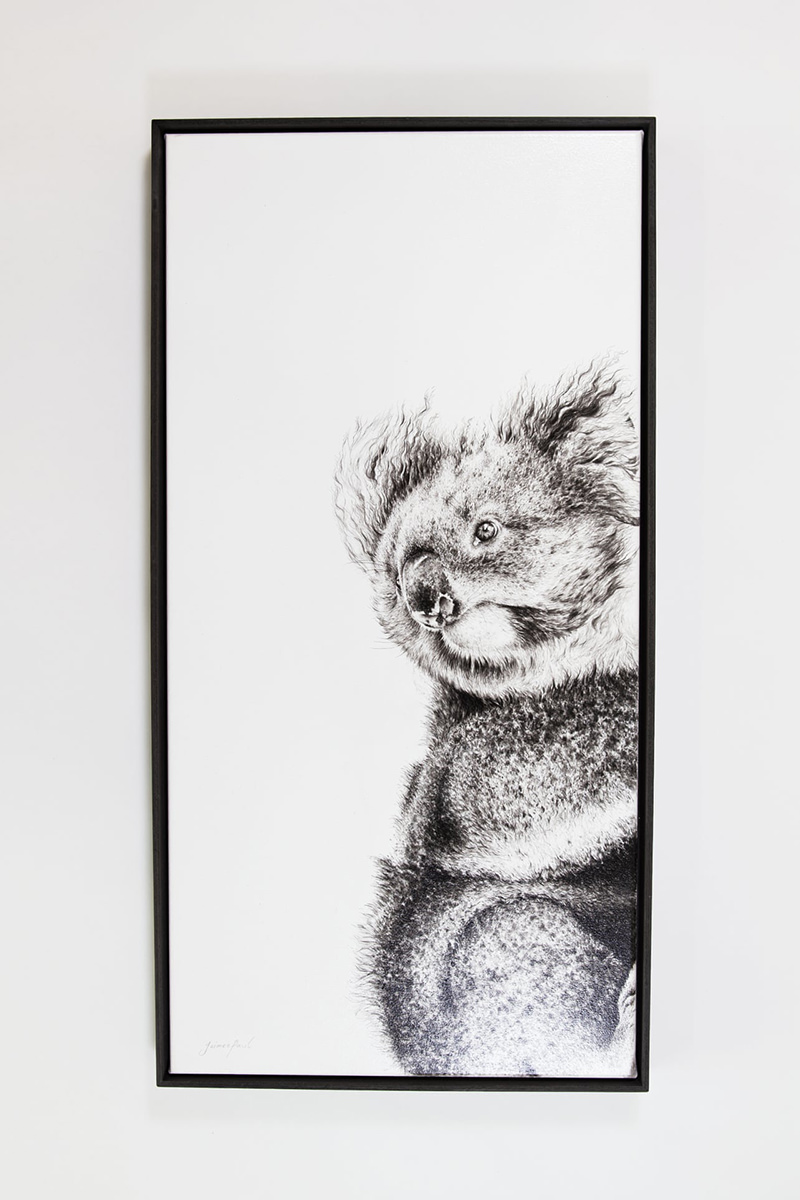 В Австралии открылась выставка картин, нарисованных углём с мест лесных пожаров (1)