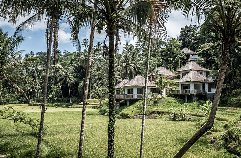 Из-за отсутствия туристов отели Бали закрываются навсегда
