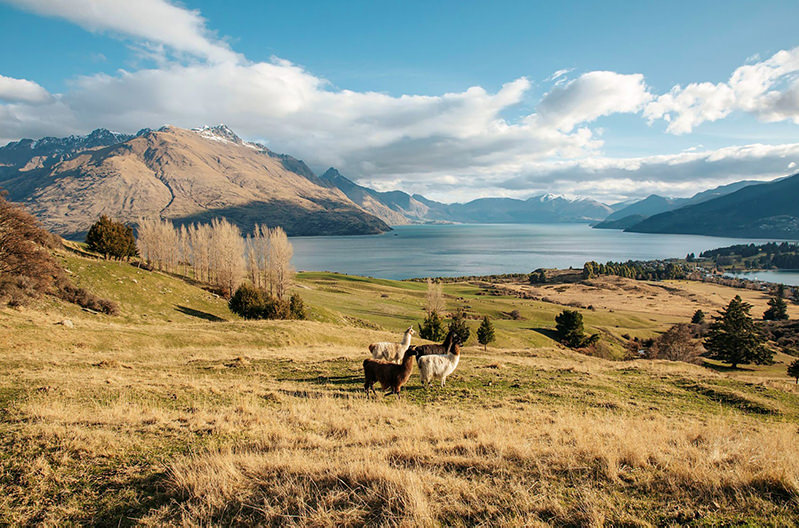 Спустя 11 лет в Новой Зеландии снова открылось место съемок «Властелина колец»