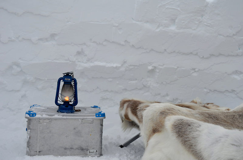 Туристам в Гренландии предлагают пожить в иглу