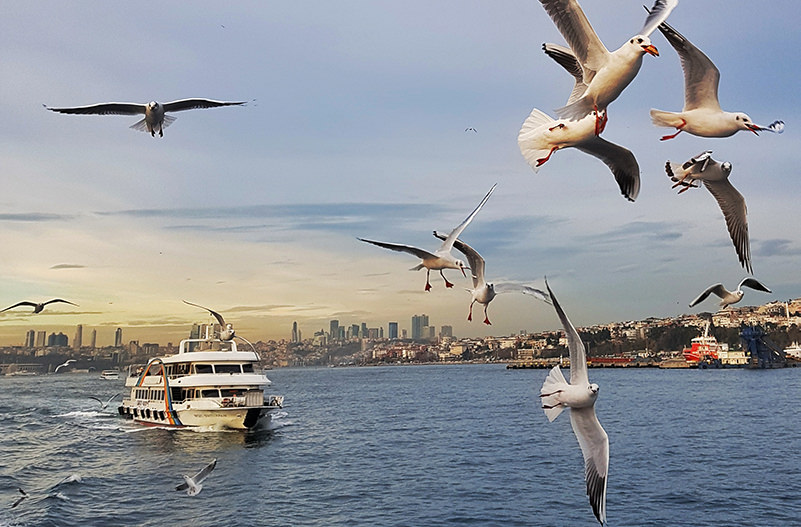 Pegasus Airlines будет летать из Одессы в Стамбул