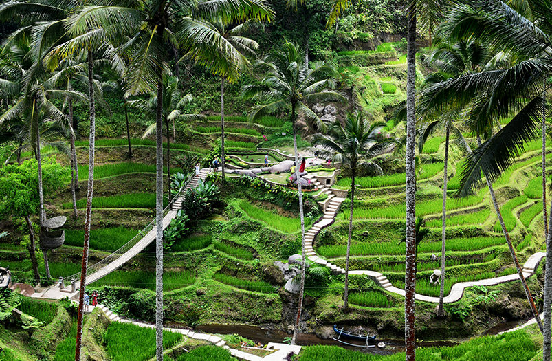 На Бали для туристов откроют «зеленые зоны»