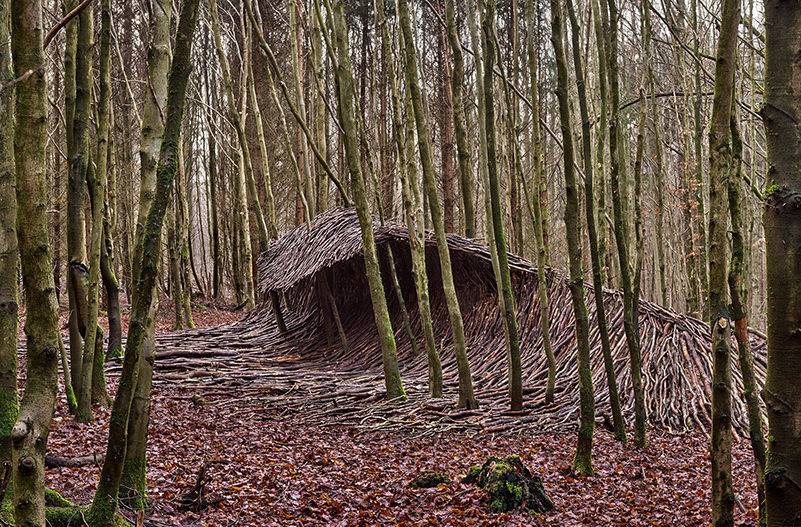 Фотограф создал инсталляцию в виде волн из сухостоя в лесу Гамбурга