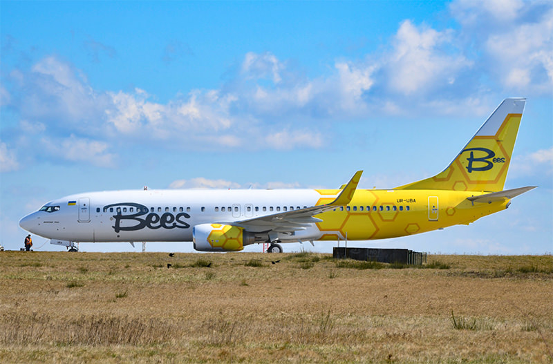 Bees Airline анонсировал рейсы из Киева в Одессу