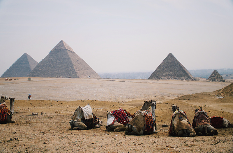 Египет анонсировал план развития окрестностей вокруг пирамид Гизы