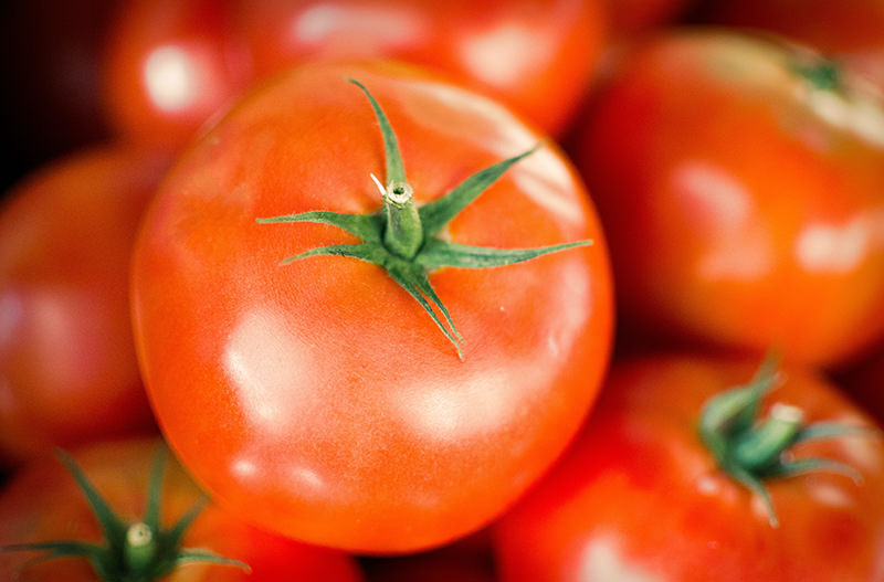 Ученые в Испании разрабатывают пластик из кожуры томатов