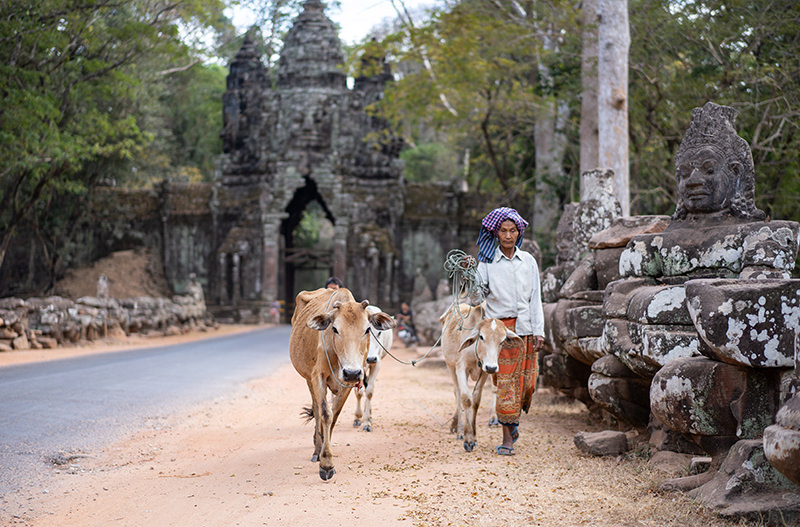 Камбоджа скасувала решту ковід-обмежень на подорожі
